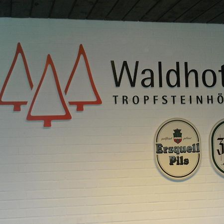 Waldhotel Tropfsteinhoehle Виль Экстерьер фото