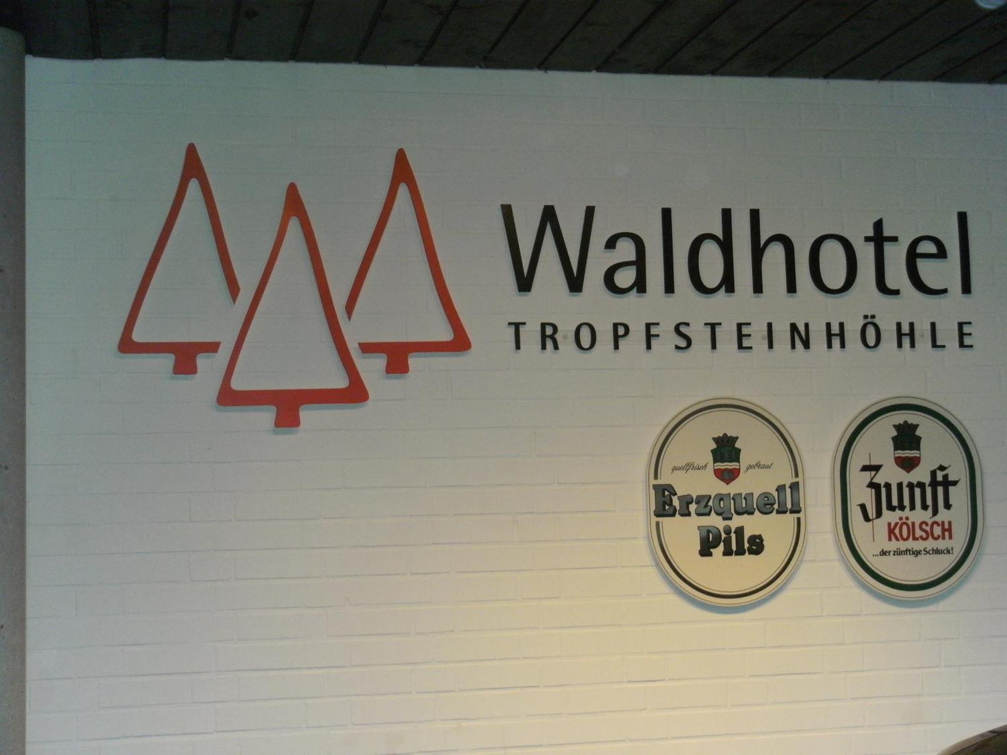 Waldhotel Tropfsteinhoehle Виль Экстерьер фото
